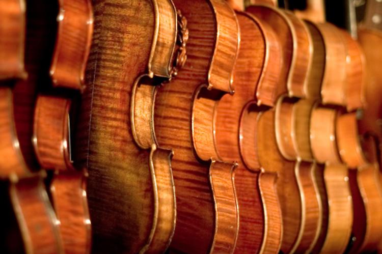 Gli appuntamenti della Monteverdi di Crema: questa sera ''A come ARCHI''
