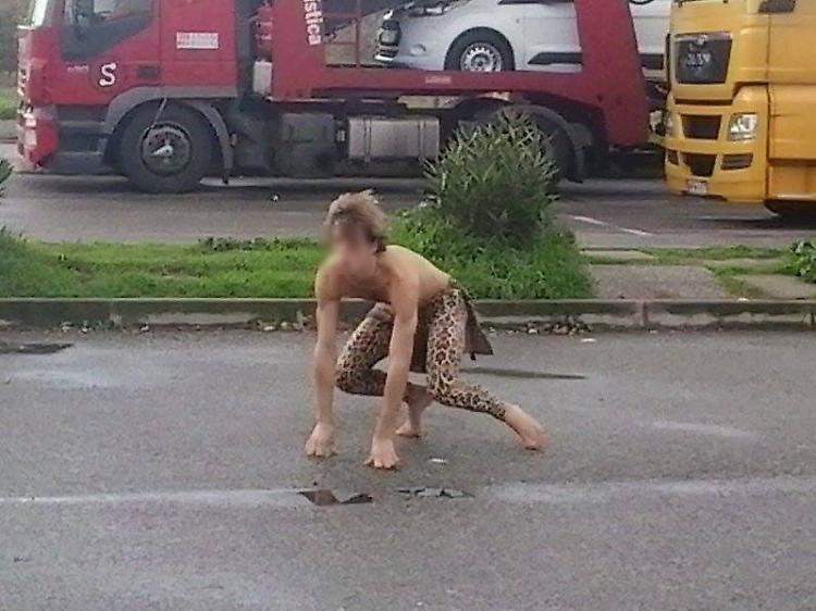 Il mistero di Tarzan all'autogrill di Cremona