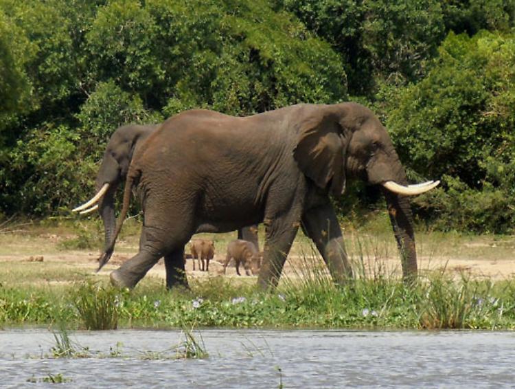 Viaggio eco-solidale di due cremonesi in Uganda