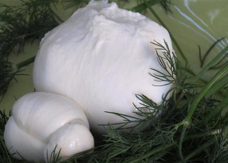 Birre artigianali abbinate ai prodotti di bufala lombarda a Crema 