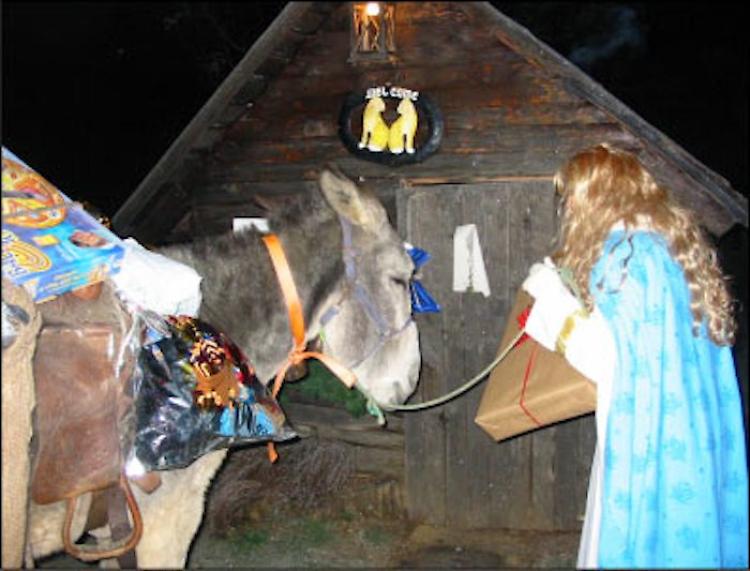 Volontario Anpana blocca la festa di Santa Lucia 