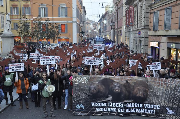 Basta gabbie per gli animali: grande manifestazione a Modena