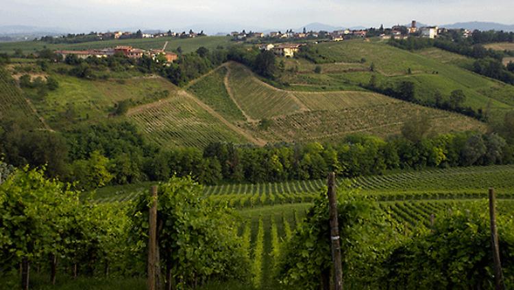 Oltrepò pavese