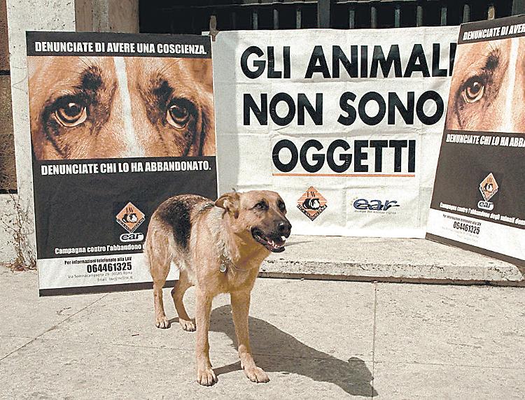 Il sesso a tre con il cane impazza sul web