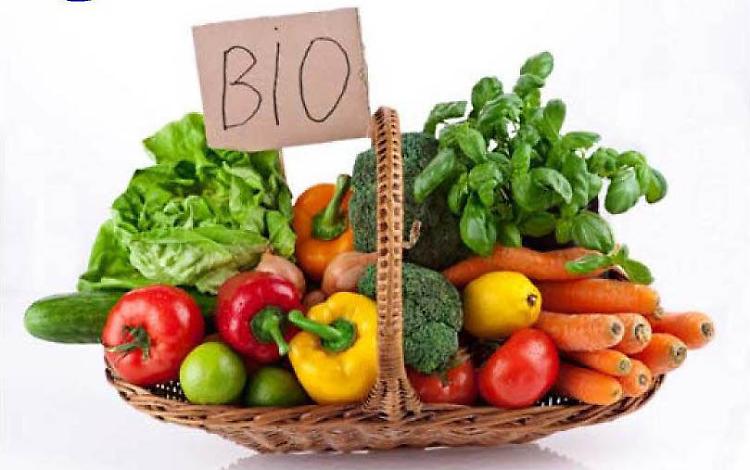 Agricoltura biologica, sei incontri per parlarne