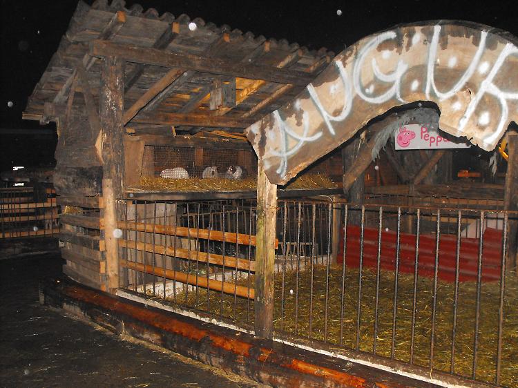 Il presepe di Sergnano
