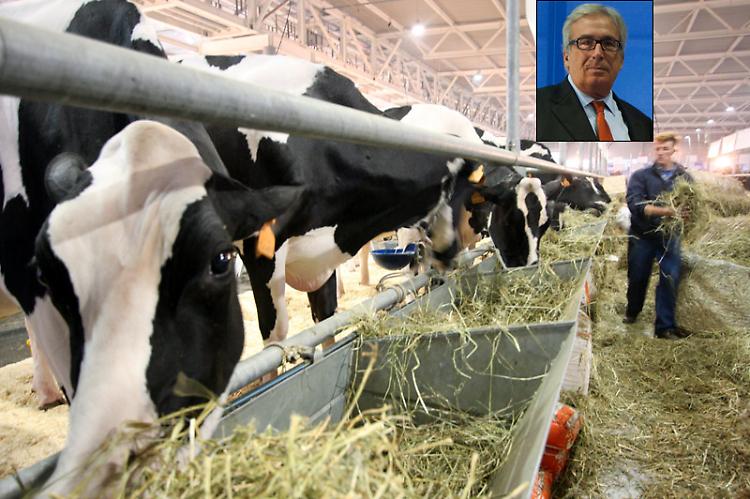 Latte, accordo con Galbani
Prezzo fissato a 44,5 centesimi