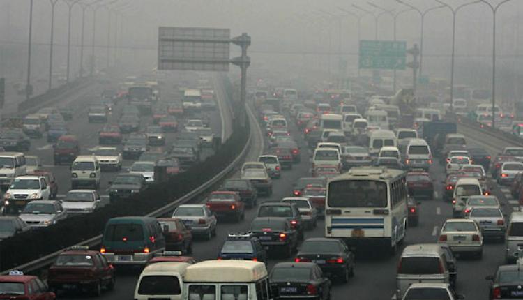 E’lo smog il problema non nutrie e cinghiali