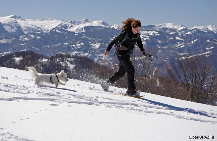Ciaspole in Appennino 2014 