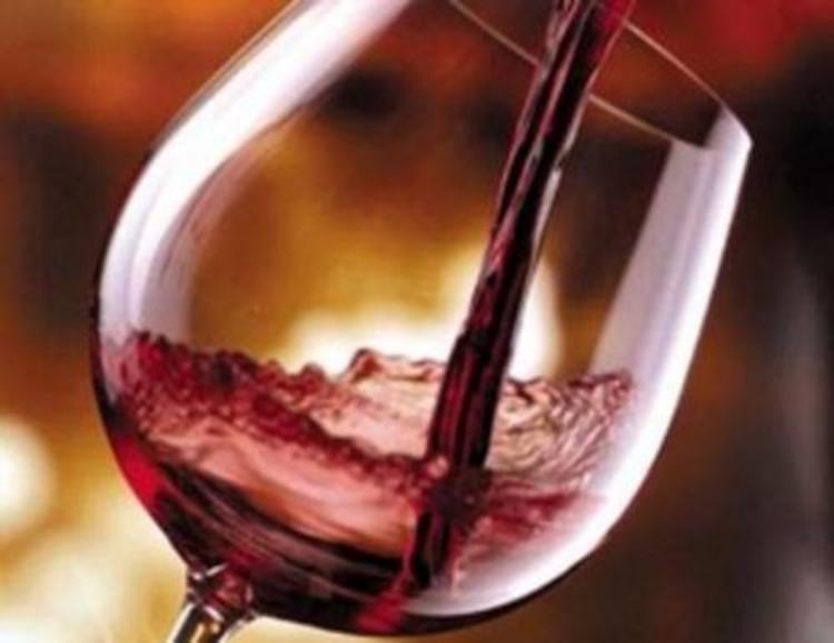 Gustando i vini della Franciacorta