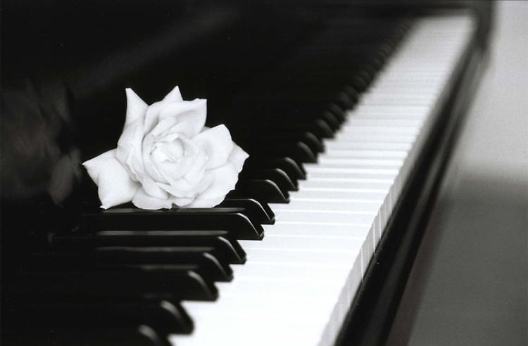 Beethoven e le 32 Sonate per pianoforte al Filo