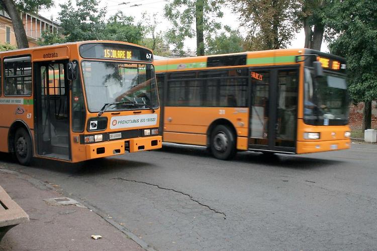 bus autobus