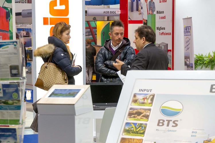 Efficienza energetica e rispetto ambientale: le migliori realizzazioni nell'industria alimentare