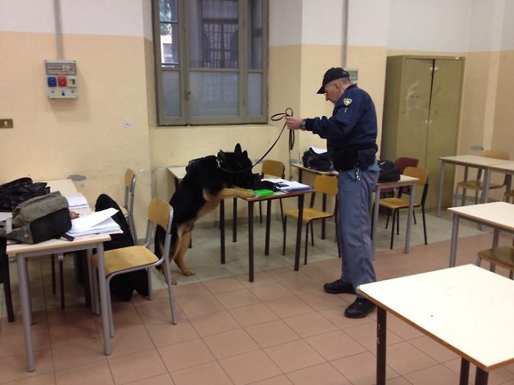 Cane antidroga tra i banchi dell'Apc