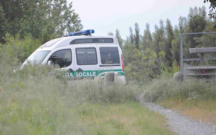 Autovelox sul ponte: la Provincia vince il secondo round in Tribunale