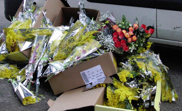 Fermato venditore abusivo di mimose