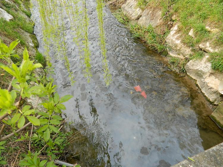 Gasolio in rogge e fogne