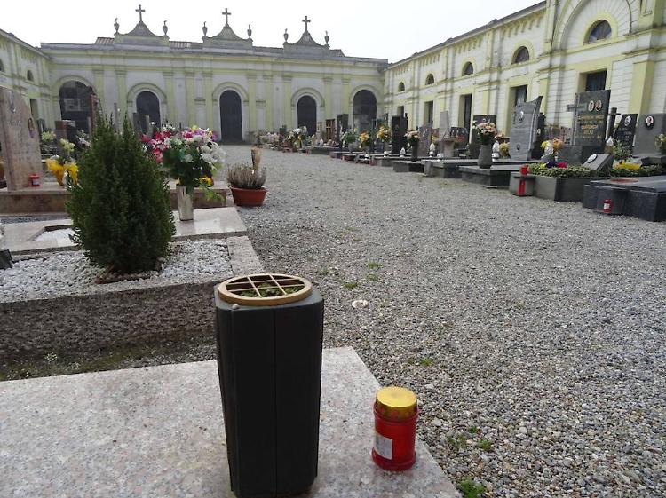 Razzia notturna di fiori finti