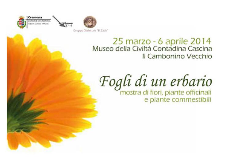 Mostra di fiori, piante officinali e piante commestibili fino a domenica 6