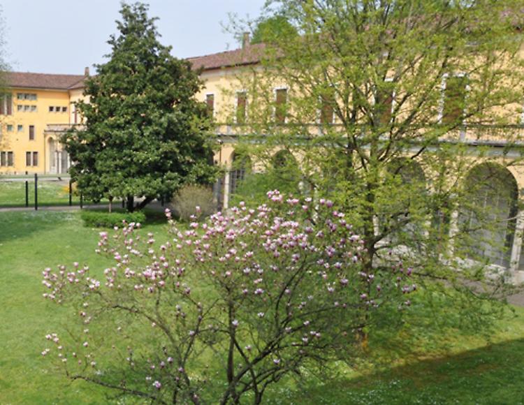 ''Un Tè in Biblioteca'': sabato si parla dell'artista e intellettuale Illemo Camelli