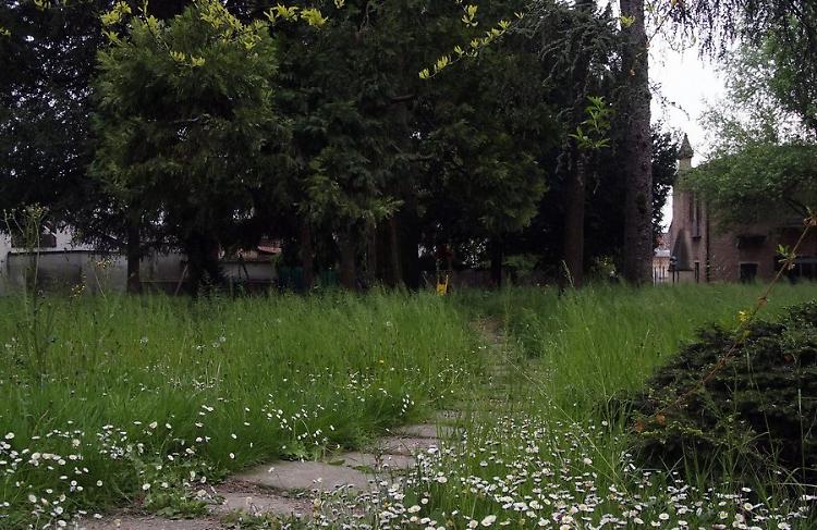 'Parco Chiappa è una giungla'