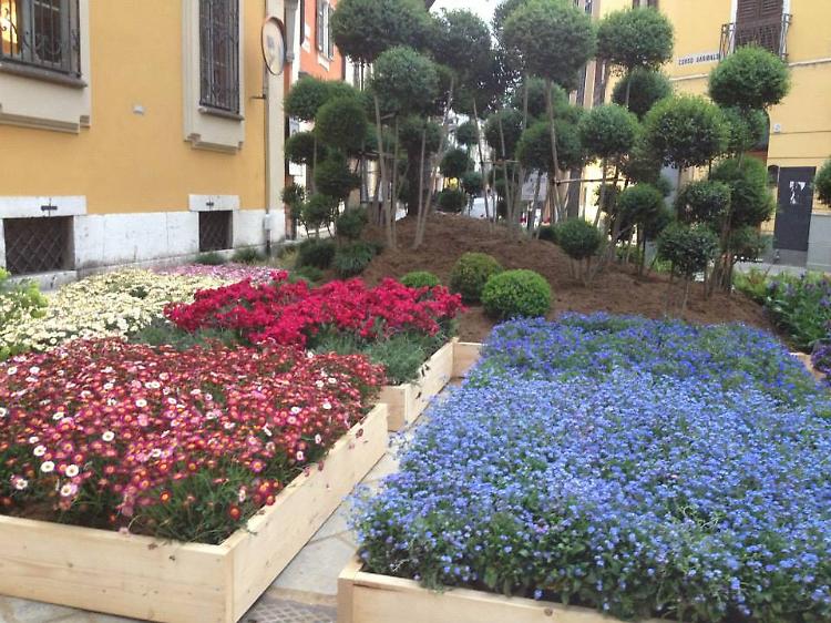 Cremona si veste di verde con Le Invasioni Botaniche
