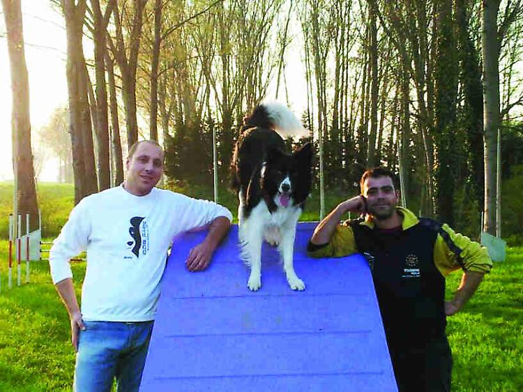 Arriva la zona 'Dog race'