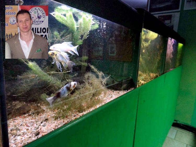 Acquario del Po, Agazzi: "Intempestivo il rinnovo della convenzione in scadenza di mandato"