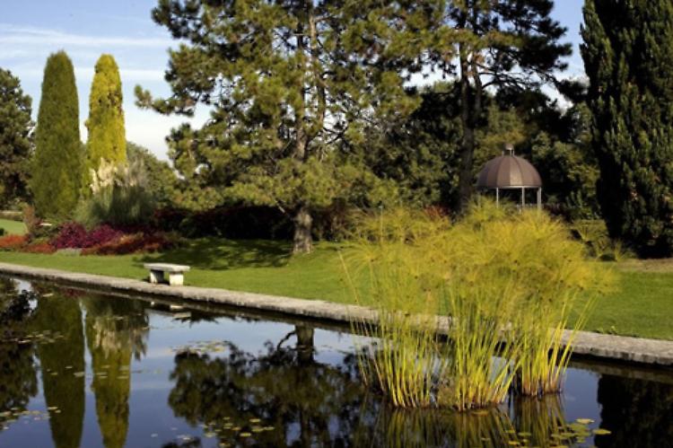 Sigurtà: i fiori che incantano. Programma fitto al parco-giardino