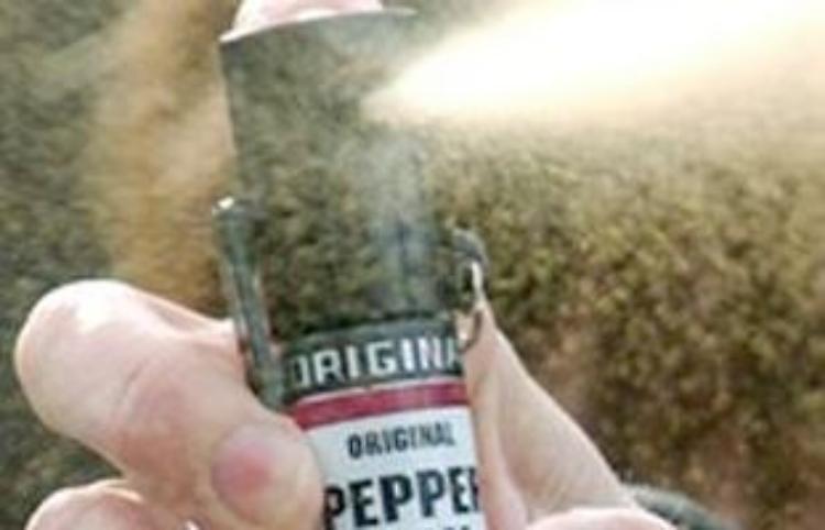 Aggredita con lo spray
e scippata di 3mila euro