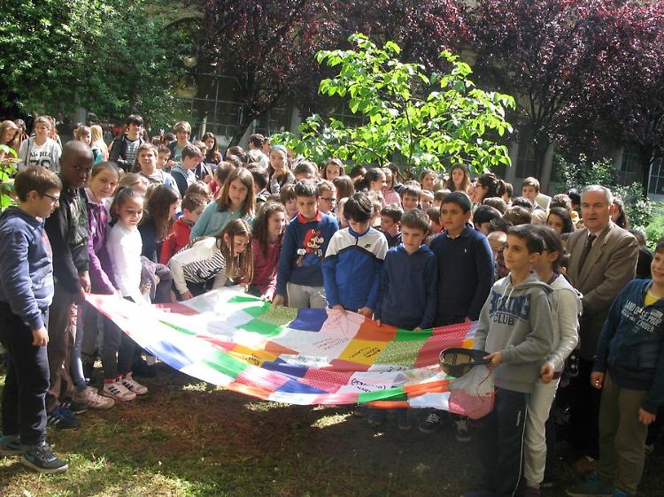 Festa per il kaki alla media Campi