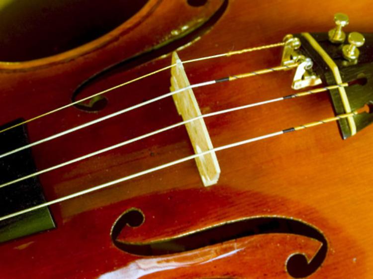 Recuperato a Cremona uno dei quattro violini rubati a Palermo