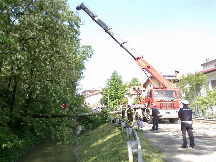 Pianta cade su una casa, paura in via Aglio