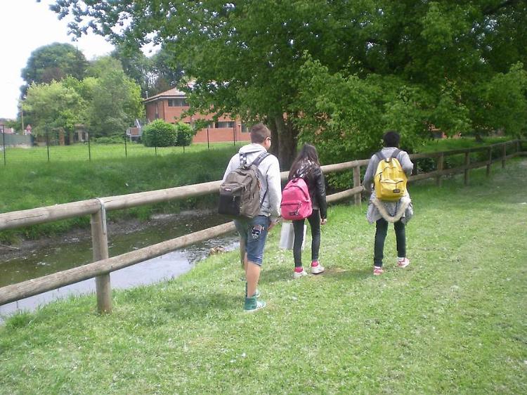 Topi nel parco in via Rampazzini: i residenti alzano la voce