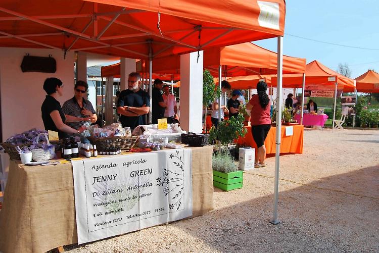 Mercato contadino in fattoria la seconda domenica del mese