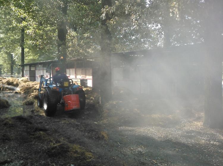 Paura al maneggio, animali salvati dall'incendio