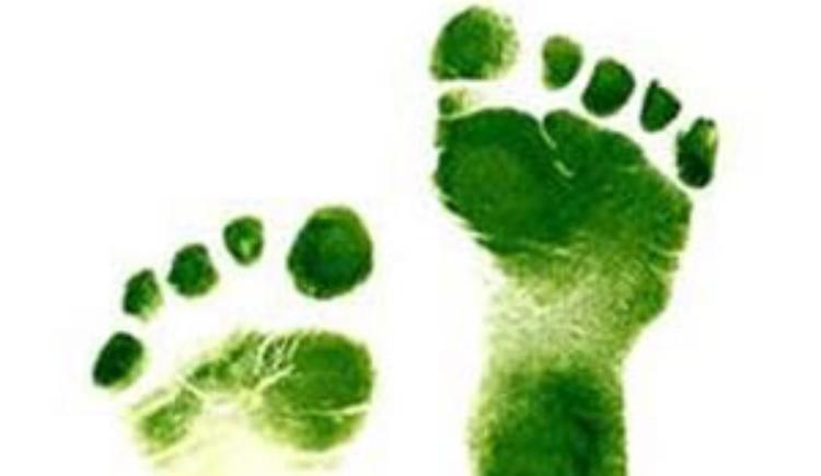 Calcola la tua impronta ecologica