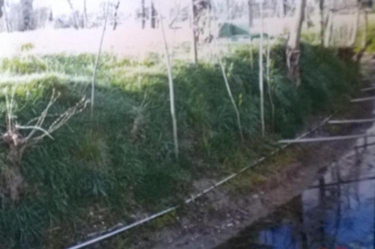 Uccellagione, denuncia della Lipu