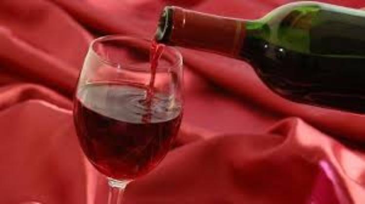 sagra del lambrusco