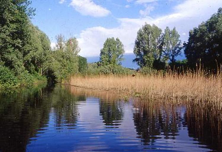 oasi le bine