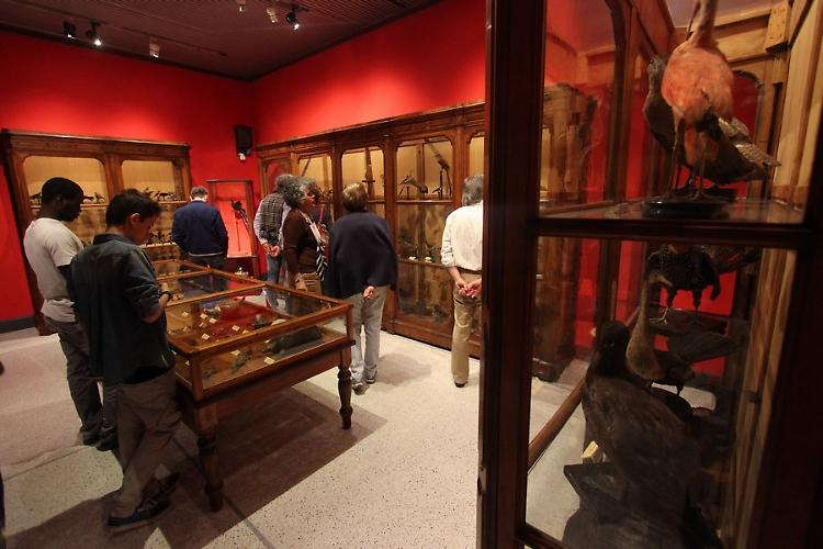 La Notte dei Musei a tutta arte