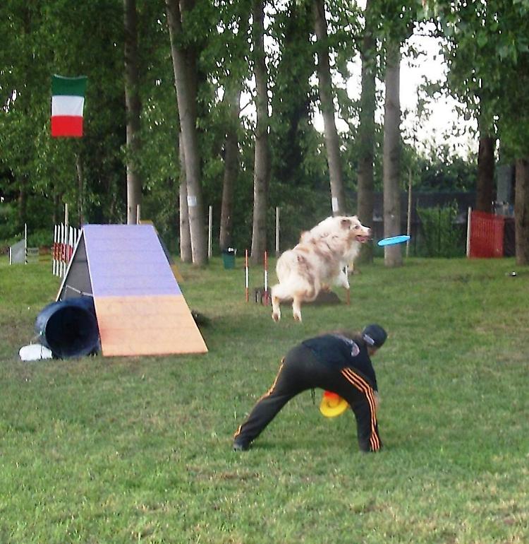 Un parco per i nostri amici a quattrozampe