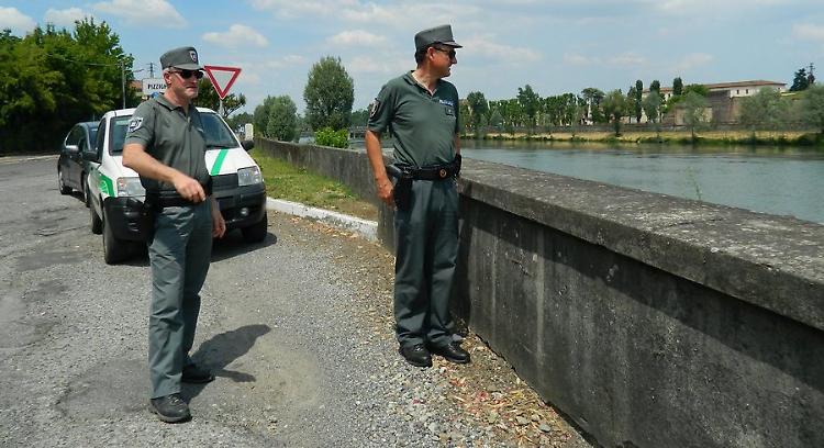 Capriolo nel navigabile, intervento dei vigili del fuoco
