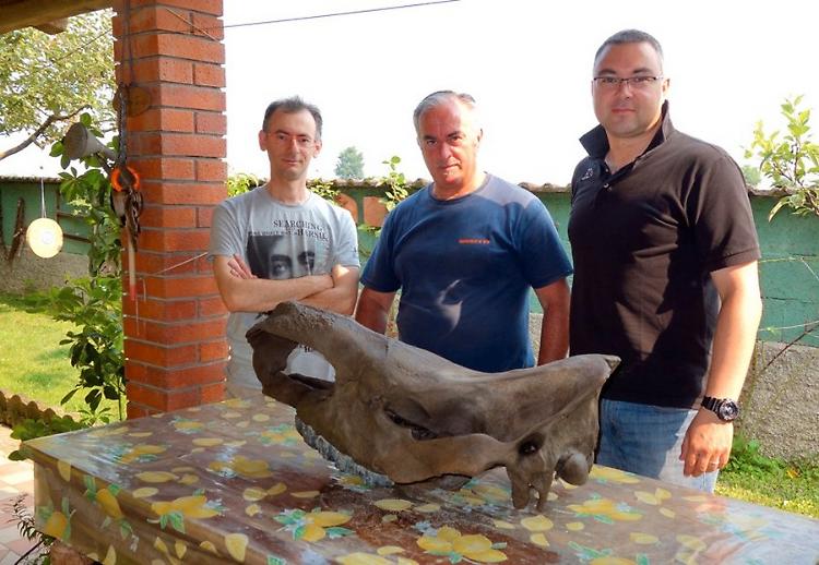 Trovò il cranio di un rinoceronte, l’Indiana Jones del Po patteggia un anno