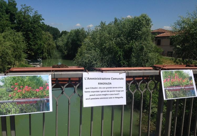 Solo fotografie al posto dei fiori rubati