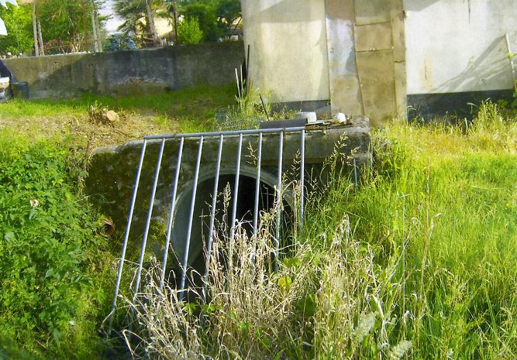 Battaglione: erba, topi e nutrie per la scarsa manutenzione del canale Reale
