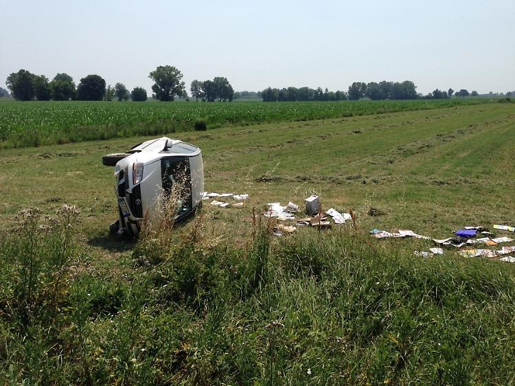 'Animale in mezzo alla strada'
Auto si ribalta in un campo
