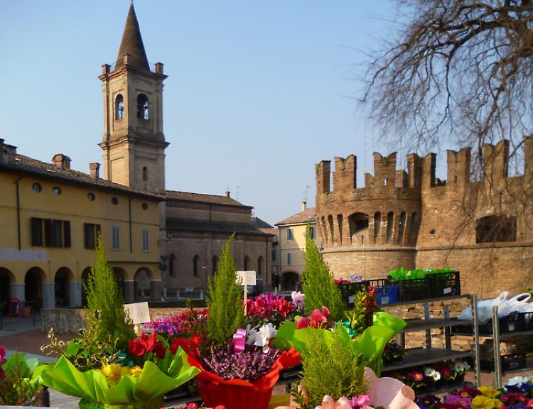 Rocca e Natura solstizio d'estate: a Fontanellato visita by night e mercato
