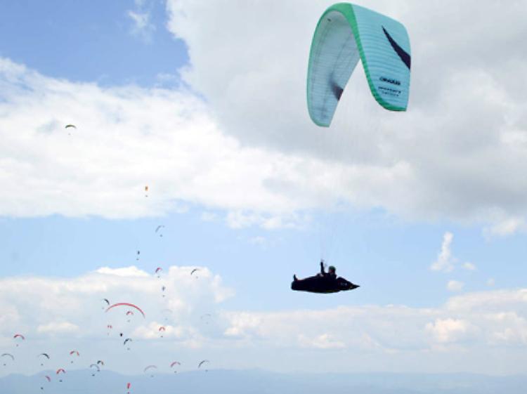 parapendio