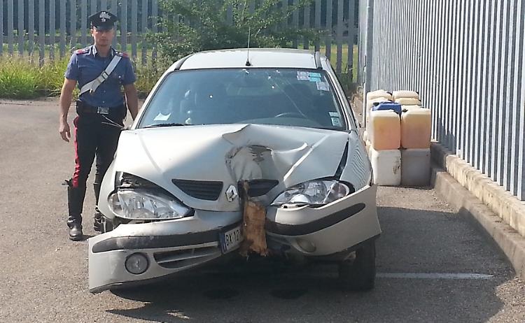 Ladri di gasolio in fuga si schiantano contro un albero
